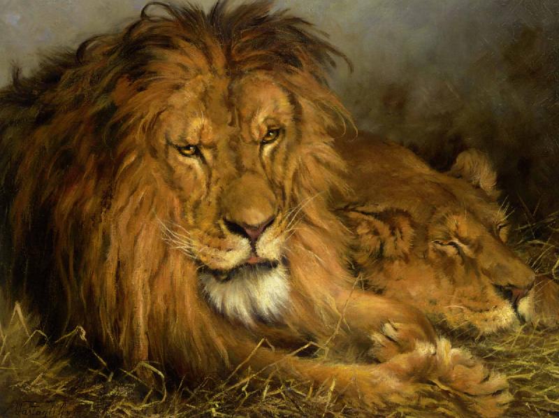 Gyorgy Vastagh Lion and a Lioness oil painting image
